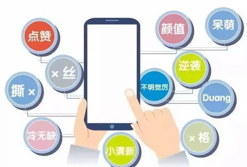真正的學術語言 網(wǎng)絡與信息安全軟件開發(fā)中的思想內核